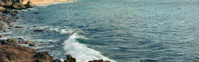 上門龍婿葉辰蕭初然_第3136章 借刀殺人