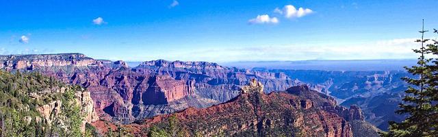 上門龍婿葉辰蕭初然_第1282章 世界首富