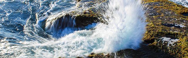 上門龍婿葉辰蕭初然_第2943章 待您困龍升天時，扶搖直上九萬里