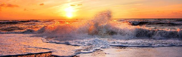 上門龍婿葉辰蕭初然_第1275章 巨富的誘惑