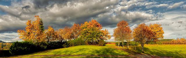 上門龍婿葉辰蕭初然_第207章 救命稻草