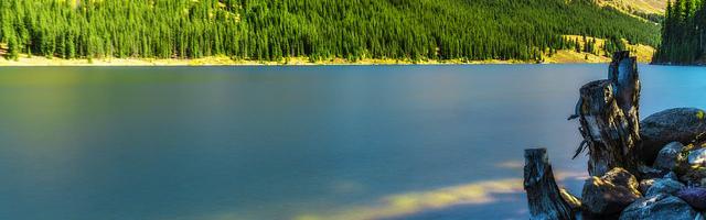 都市神醫葉辰很囂張_第12311章 四神獸（三合一）