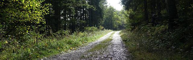 上門龍婿葉辰蕭初然_第3095章 解您心頭之恨