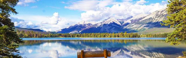 上門龍婿葉辰蕭初然_第2636章 究竟有什么效果