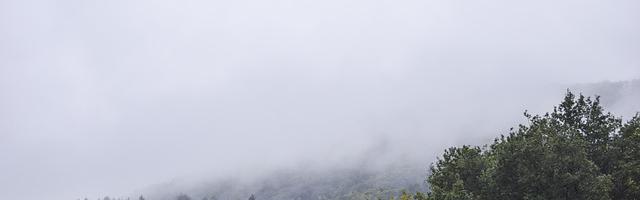 上門龍婿葉辰蕭初然_第3325章 以身入局