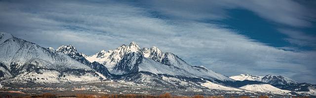 上門龍婿葉辰蕭初然_第541章 哀莫大于心死
