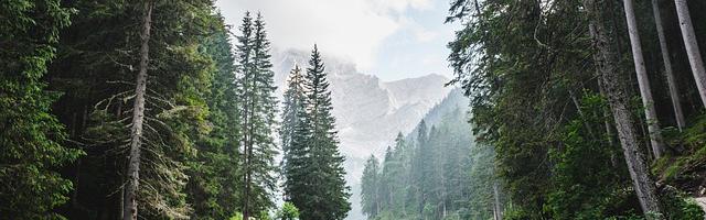 上門龍婿葉辰蕭初然_第2597章 看見你就煩