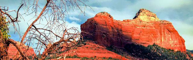 上門龍婿葉辰蕭初然_第388章 反殺！