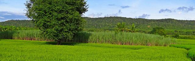 上門龍婿葉辰蕭初然_第121章 眾鑫建筑集團