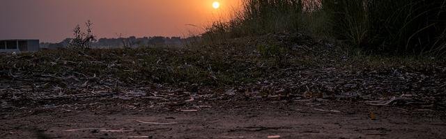上門龍婿葉辰蕭初然_第3097章 有點東西。