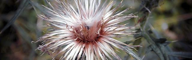 上門龍婿葉辰蕭初然_第404章 該升一級了