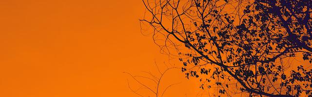 上門龍婿葉辰蕭初然_第2666章 右軍都督府