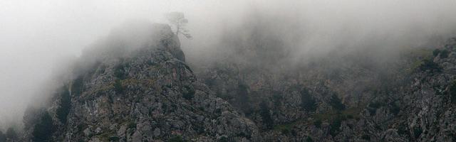 上門龍婿葉辰蕭初然_第287章 何方神圣