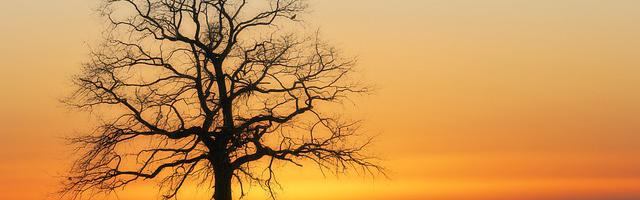 上門龍婿葉辰蕭初然_第2753章 剛才錯怪你了