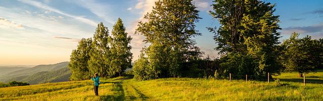 上門龍婿葉辰蕭初然_第618章 主客盡歡