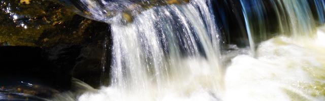 上門龍婿葉辰蕭初然_第66章 神秘的董事長！