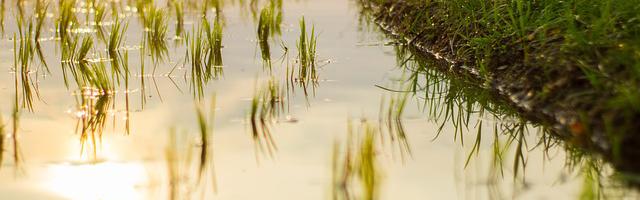 上門龍婿葉辰蕭初然_第3349章 顏面何存！