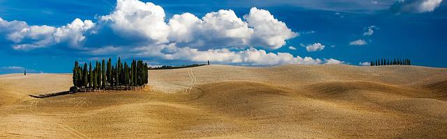 上門龍婿葉辰蕭初然_第3335章 你們是怎么進來的？