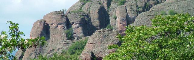 上門龍婿葉辰蕭初然_第322章 吳家父子的計劃