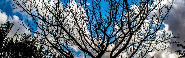 上門龍婿葉辰蕭初然_第2749章 合適我買了！