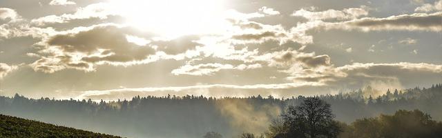 上門龍婿葉辰蕭初然_第2688章 南柯夢醒