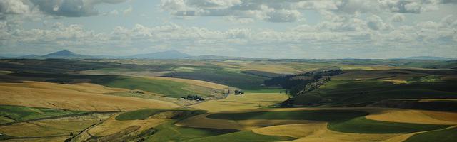 上門龍婿葉辰蕭初然_第2626章 我來會一會他！