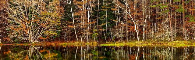 上門龍婿葉辰蕭初然_第2654章 全面啟動