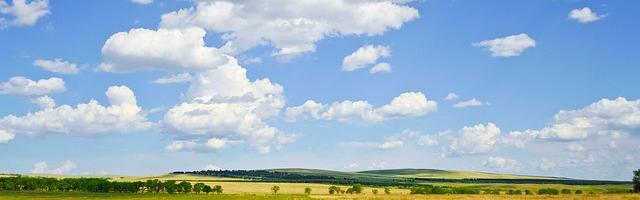 上門龍婿葉辰蕭初然_第3185章 全力以赴