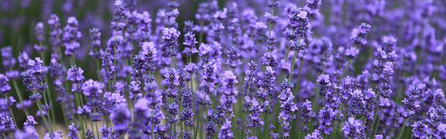 上門龍婿葉辰蕭初然_第3086章 確實太難了！