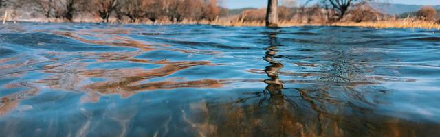 上門龍婿葉辰蕭初然_第194章 殺之而后快！