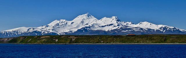 上門龍婿葉辰蕭初然_第766章 到底是什么怪物！
