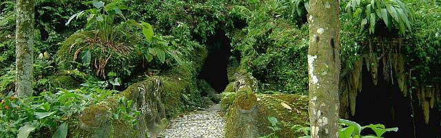 上門龍婿葉辰蕭初然_第2779章 渾然天成的山水畫卷