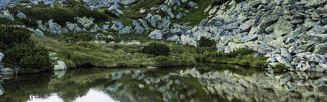 上門龍婿葉辰蕭初然_第3317章 殺不死的魔鬼！