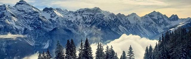 上門龍婿葉辰蕭初然_3167章 還是我來承擔吧！