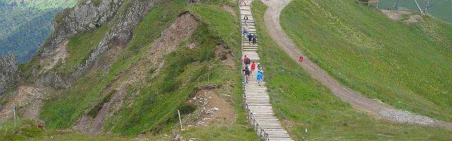 上門龍婿葉辰蕭初然_第63章 你玩我呢？