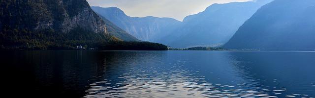 上門龍婿葉辰蕭初然_第153章 表忠心