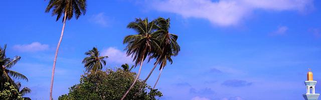 上門龍婿葉辰蕭初然_第2258章 你到底是什么人？