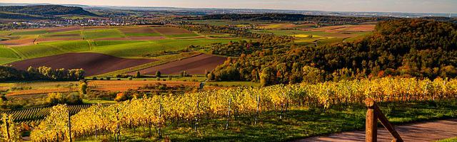 上門龍婿葉辰蕭初然_第669章 秦傲雪獲勝！