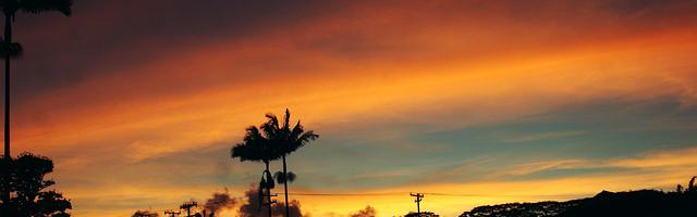 上門龍婿葉辰蕭初然_第3142章 我想到一個機會