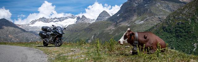上門龍婿葉辰蕭初然_第3119章 降維打擊