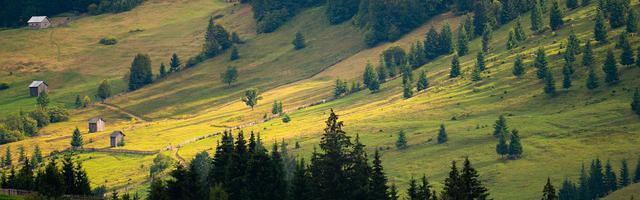 上門龍婿葉辰蕭初然_第3309章 自救