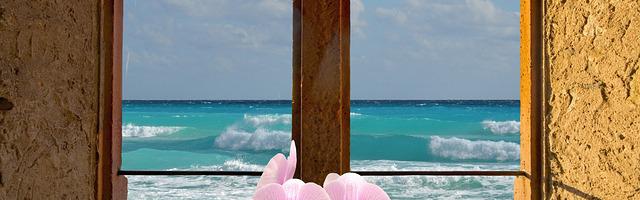 上門龍婿葉辰蕭初然_第10章 磕頭認錯