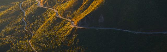 上門龍婿葉辰蕭初然_第29章 低調點好