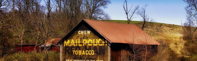 上門龍婿葉辰蕭初然_第3056章 打造基地