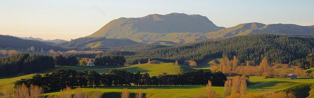 上門龍婿葉辰蕭初然_第2237章 聽人勸吃飽飯