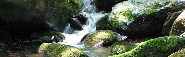 上門龍婿葉辰蕭初然_第796章 龍困淺灘