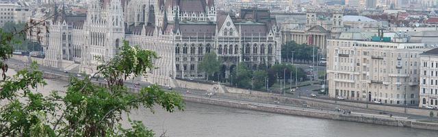 上門龍婿葉辰蕭初然_第3201章 別提丹藥的事