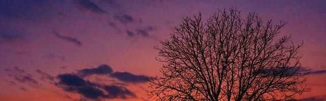 上門龍婿葉辰蕭初然_第2788章 您不能再猶豫了！