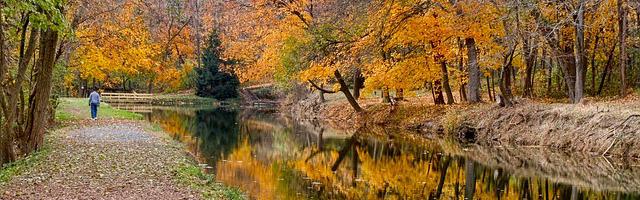 上門龍婿葉辰蕭初然_第800章 回頭一定讓他好看！