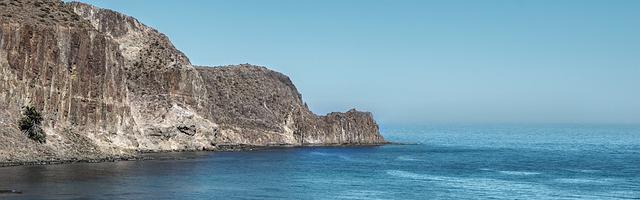 上門龍婿葉辰蕭初然_第296章 您等級不夠！